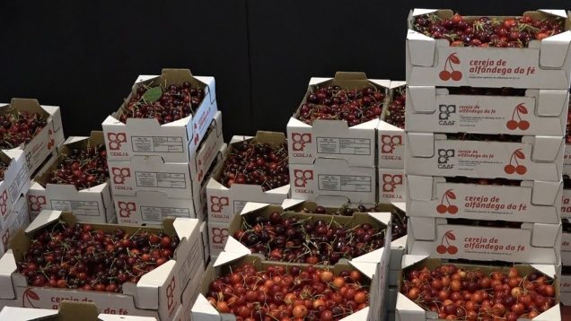ONDA LIVRE TV – 36ª Festa da Cereja de Alfândega da Fé