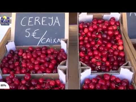 ONDA LIVRE TV – Lamas promove I edição da Festa da Cereja