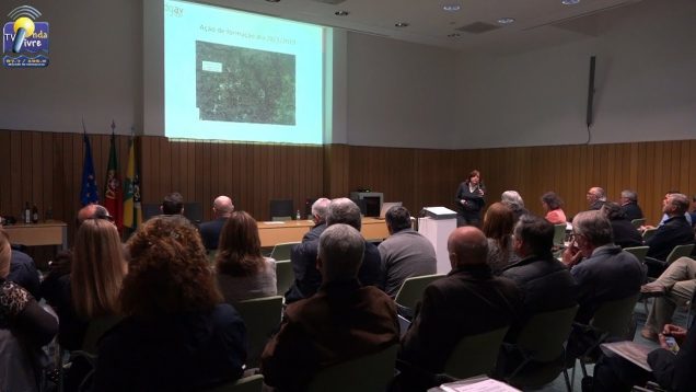 ONDA LIVRE TV – Encontro de Cooperativas Olivícolas em Macedo de Cavaleiros