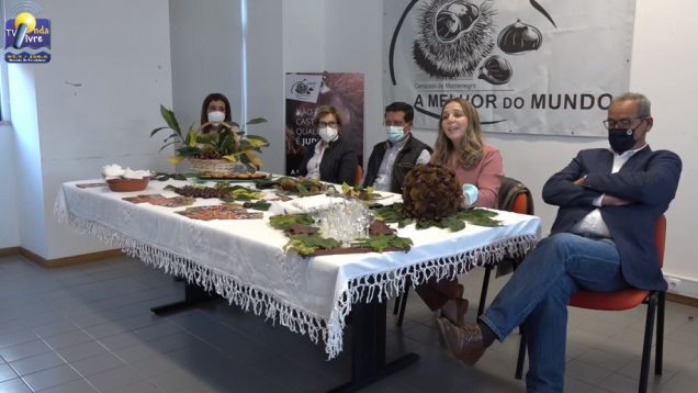 apresentação feira